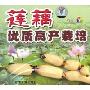 莲藕优质高产栽培(VCD)