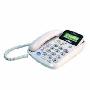 TCL  HCD868（17B）TSD  来电显示电话机（白）