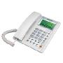 高科HCD737TSDL-92-329来电显示电话机（白色）