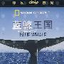 蓝鲸王国/蓝光（DVD）