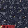 绝色 雪小禅作品