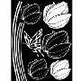 韩国ECOWORLDGPS-016FIORE(白色)IL09117W墙贴(韩国生活用品馆产品)