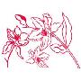 韩国ECOWORLDGPS-037flower(红色)IL09138R墙贴(韩国生活用品馆产品)