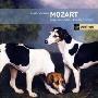 进口CD：莫扎特:小提琴奏鸣曲(69321825)