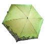 天堂伞2010年款变色五折超轻刺绣晴雨伞5505E2小姿丽人草绿