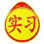 TYPER 实习字样反光贴 黄色（反光警示贴 汽车个性贴纸 ）