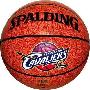 【专柜正品】斯伯丁74-083NBA骑士队徽球