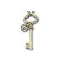 Swarovski施华洛世奇水晶项链-Secrets Key 金色钥匙 1043819 (Austria专柜正品)