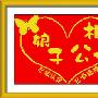 韩国进口溢彩 娘子相公 YC-530-109(11CT)