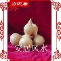 寺院后院自己种有益无害驱病增缘催丁--天然葫芦