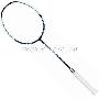 LI-NING 李宁TP101C羽毛球拍（送专业羽线及手胶）