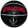 Spalding斯伯丁74-086NBA猛龙队徽篮球