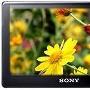SONY索尼 PMX- M89 16G 大陆正品