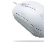 (正品行货）罗技 Logitech V120 （迷你星貂激光版）白