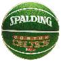 Spalding斯伯丁73-389凯尔特人队徽篮球