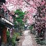 BEVERLY-风景系列-春薰民宿-拼图500片