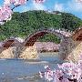 BEVERLY-风景系列-桜風の錦帯橋(锦带桥)-拼图300片