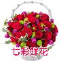 鲜花/心中的公主