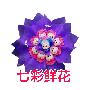 鲜花/米奇之恋