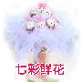 鲜花/淘气宝贝