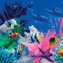 EDUCA- A MYRAD OF COLOUR（热带鱼）拼图1000