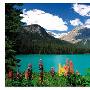 EDUCA-EMERALD LAKE OF  ROCKIES（落基山脉)