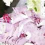 艺森家纺 高档丝绵贡缎大提花+活性印染四件套 DTH-12