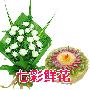 鲜花/清新脱俗(1+1)