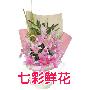 鲜花/五彩缤纷