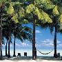 EDUCA-1000THE HAMMOCK PETER ADAMS（度假中）
