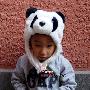 熊猫毛绒玩具/熊猫毛绒公仔帽子『熊猫 老虎』