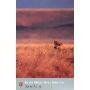 Out of Africa