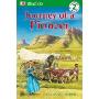 Journey of a Pioneer