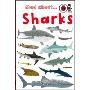 Mad About Sharks