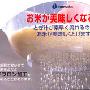 日本进口 底部和前端均可沥水淘米盆 大号 有挂孔 透明 inomata