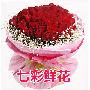 花/情有独钟