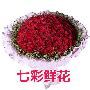 鲜花/真心付出