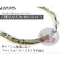日本VIGOR 医疗级强效20粒金属锗项链 纯钛项链（亮光）