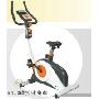 08新款 美国格林 ibike (B1.0) 磁控立式健身车