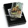 【Zippo代理商授权销售】24413忠实伙伴