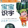 宝宝识字：智慧成长（2-6岁）（4VCD·内赠冯氏早教说明书+DIY谍包）