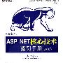 圣殿祭司的ASP.NET 核心技术范例手册（VB版）(DVD)