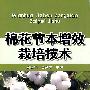 棉花节本增效栽培技术