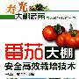 寿光大棚蔬菜高效栽培技术丛书--番茄大棚安全高效栽培技术