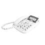 TCL HCD868（17B）来电显示电话机白色
