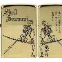 ZIPPO 打火机 两面加工骷髅战士2GI-SKL2