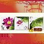 [进口福绣来十字绣花卉]080-清君