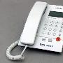堡狮龙HCD133（18）型 精致办公电话机 全新行货保修