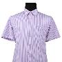 UCLA 2010夏款休闲系列紫色条纹提花短袖衬衫