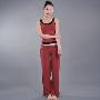 宁弘2010春夏款瑜伽服健身服NY8514-1+NP9929-1瑜珈服套装